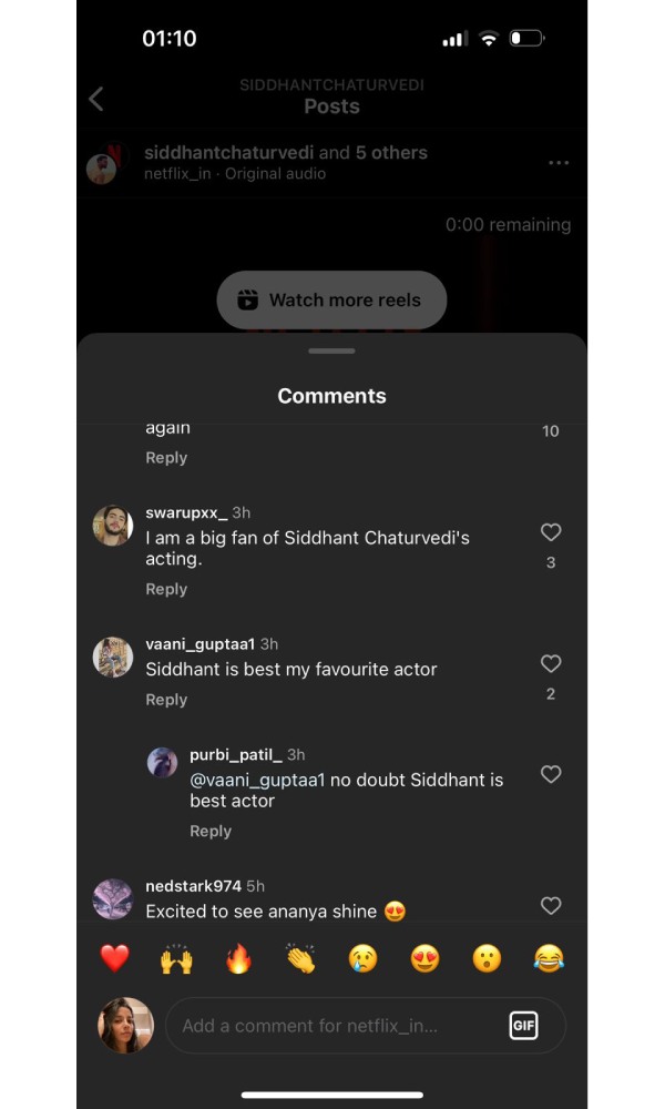 Kho Gaye Hum Kaha, Siddhant Chaturvedi
