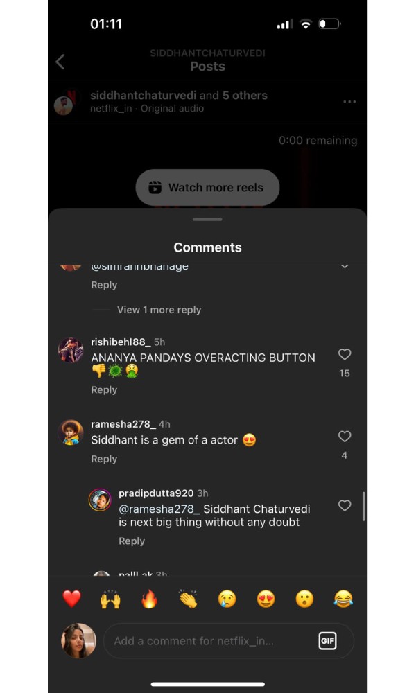 Kho Gaye Hum Kaha, Siddhant Chaturvedi