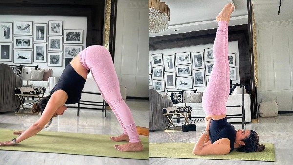 Viral Video: Shama Sikander Drops An Inspiring Set Of Photos