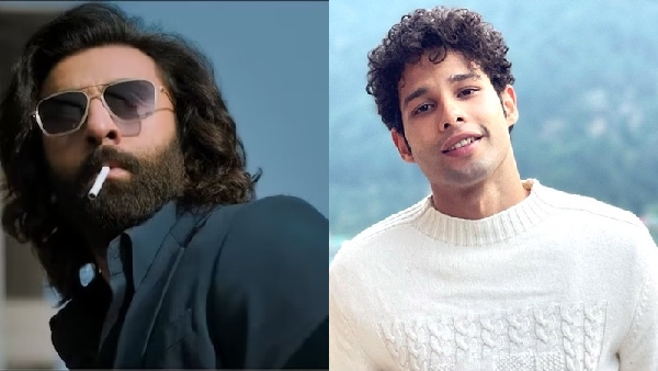 Year Ender 2023, Ranbir Kapoor, Siddhant Chaturvedi
