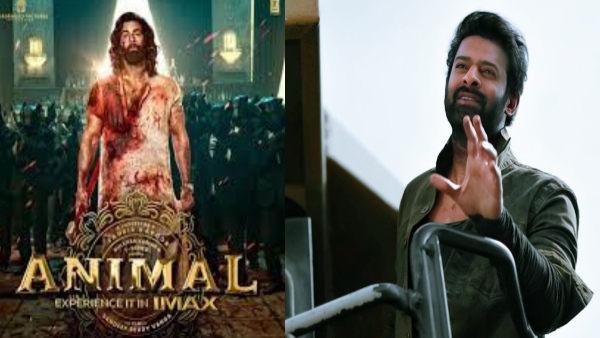  Salaar Part 1:Ceasefire Overtaken By Animal On Netflix India