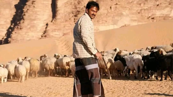 Aadujeevitham Worldwide Box Office Crosses 30 Cr In 2 Days Aadujeevitham Worldwide Box Office Crosses 30 Cr In 2 Days