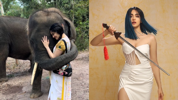 Adah Sharma s Unique Fitness Journey