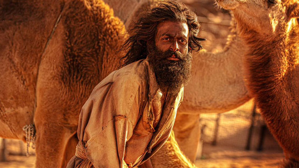 Aadujeevitham Worldwide Box Office Collection Update