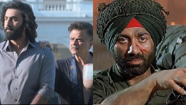 Animal Park To Border 2