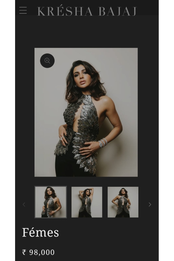 Samantha Ruth Prabhu Metallic Corset Top Price Samantha Ruth Prabhu Metallic Corset Top Price