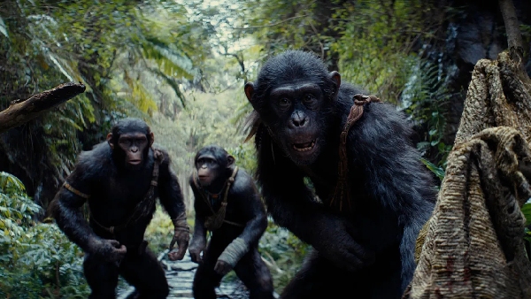 Kingdom Of The Planet Of The Apes OTT Release Date Kingdom Of The Planet Of The Apes OTT Release Date