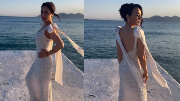 Preity Zinta Cannes 2024 outfit price