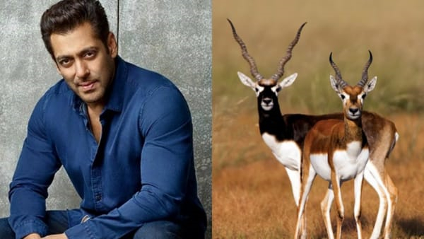 Salman Khan vs Boishnoi community Salman Khan vs Boishnoi community