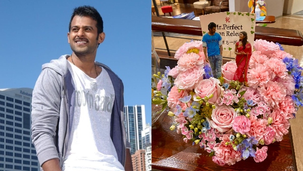 Mr Perfect Enthralls Japan Mr Perfect Enthralls Japan