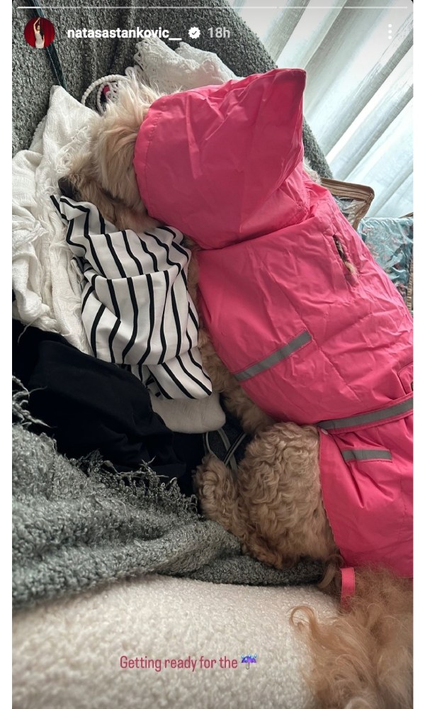 Natasa Stankovic Shuts Down Divorce Rumours