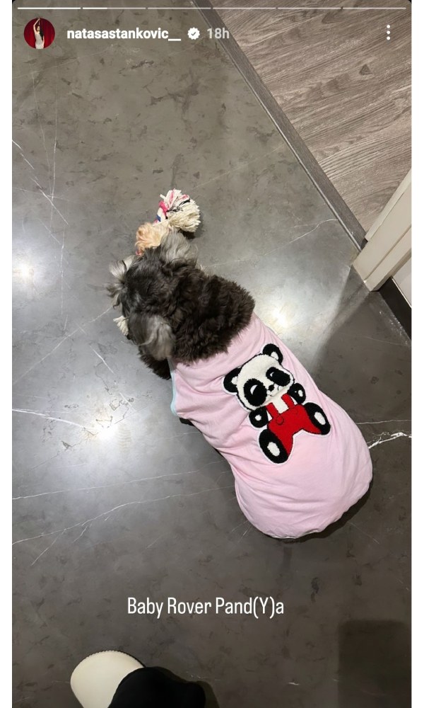 Natasa Stankovic Shuts Down Divorce Rumours