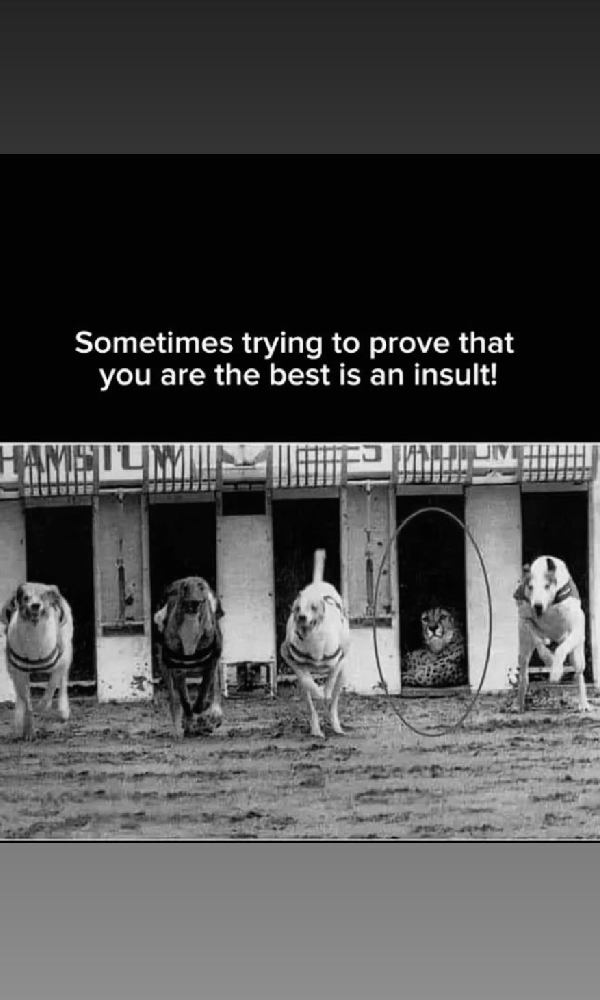 KKK14 s Asim Shares Cryptic Post After Tiff With Abhishek