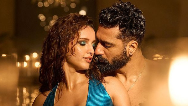 Bad Newz Hit or Flop Budget Records