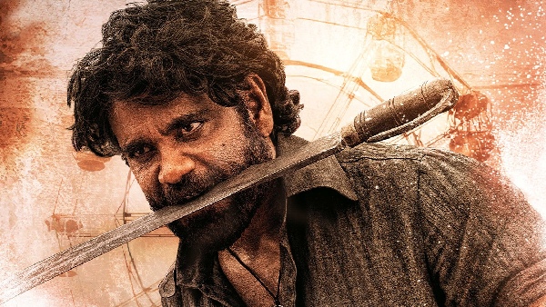 Naa Saami Ranga OTT Release Date TV Premiere In Hindi