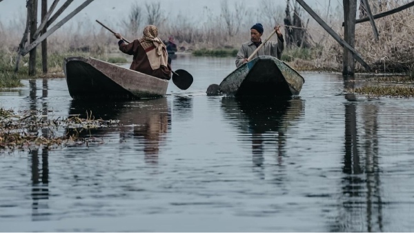 Kahwa Trailer Release Gripping Story Of Kashmir War