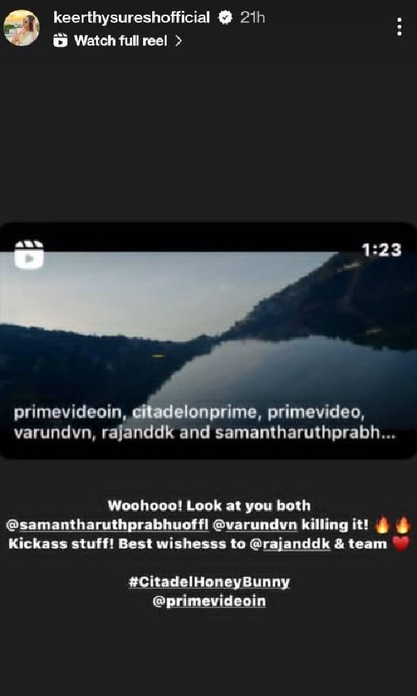 Citadel Honey Bunny Varun-Samantha Host Operation Citadel