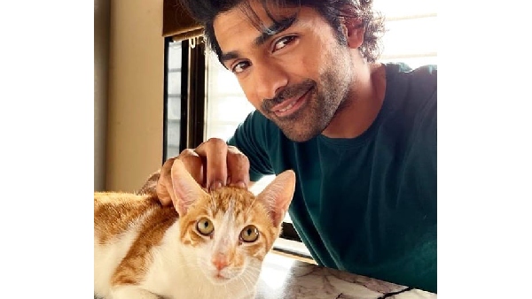 Purrfect Companions Bollywood s Top Actors