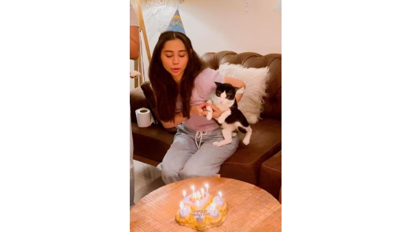 Purrfect Companions Bollywood s Top Actors