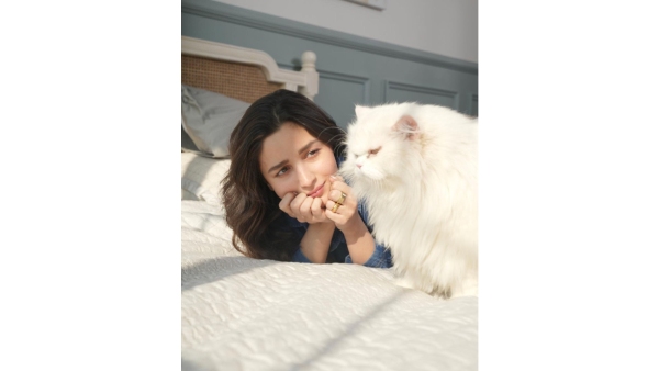 Purrfect Companions Bollywood s Top Actors