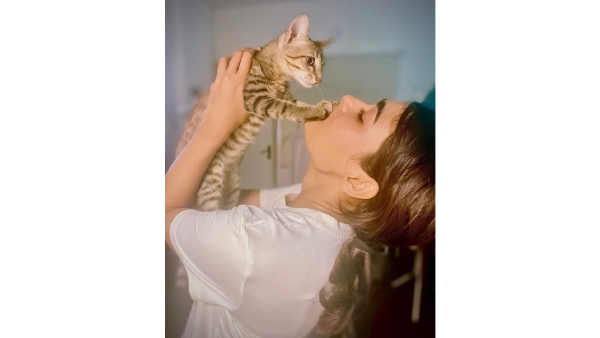 Purrfect Companions Bollywood s Top Actors