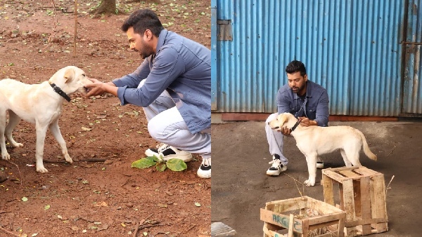 Meet Shabir Ahluwalia s Furry Friend On Set Meet Shabir Ahluwalia s Furry Friend On Set