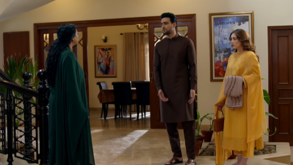 Teray Janay Kay Baad Episode 20 Written Updates