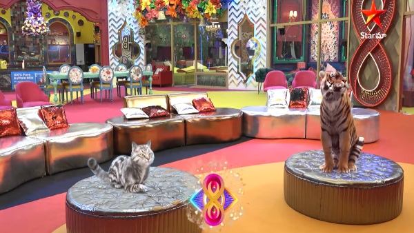 Bigg Boss Telugu 8 Grand Launch Highlights A Shocking TWIST Bigg Boss Telugu 8 Grand Launch Highlights A Shocking TWIST