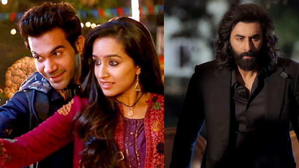 Stree 2 Box Office Collection Day 20