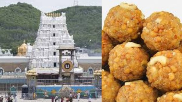 Tirupati Laddu Controversy Update