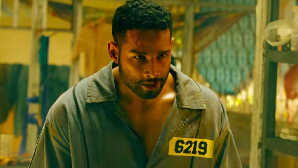 Yudhra Box Office Collection Day 3