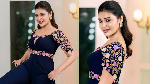 Bigg Boss Tamil 8 Elimination Is Darsha Gupta Evicted Bigg Boss Tamil 8 Elimination Is Darsha Gupta Evicted