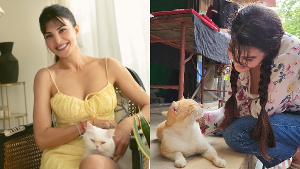 World Animal Day 2024 Jacqueline Fernandez Says World Animal Day 2024 Jacqueline Fernandez Says