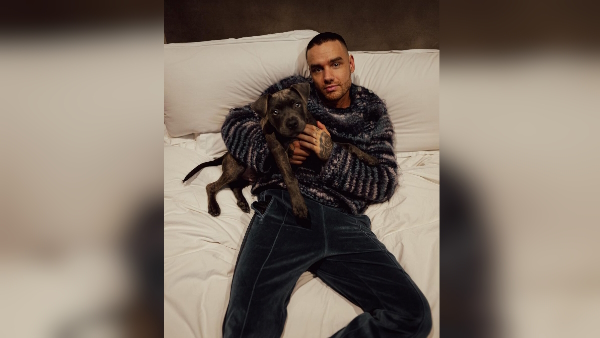 Woman Makes Tweet On Liam Payne Situation Goes Viral