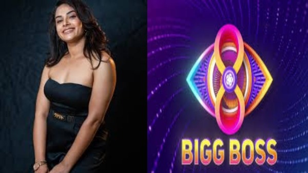 Bigg Boss Telugu 8 Reload Confirmed Contestants Bigg Boss Telugu 8 Reload Confirmed Contestants