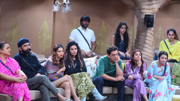 Bigg Boss 18 Voting Trends Today Muskan Nyrraa Avinash Mishra Vivian- Who Will Be In Bottom 3