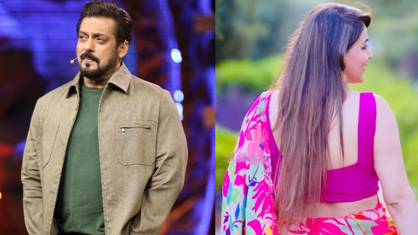 Bigg Boss 18 Fourth Wildcard Contestant Deets