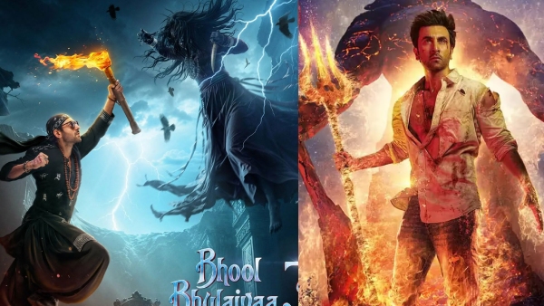 Bhool Bhulaiyaa 3 Box Office Collection Day 11