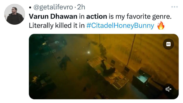 Citadel Honey Bunny OTT Release