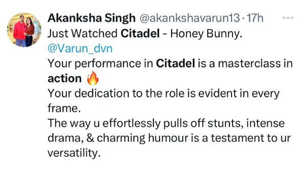 Citadel Honey Bunny OTT Release