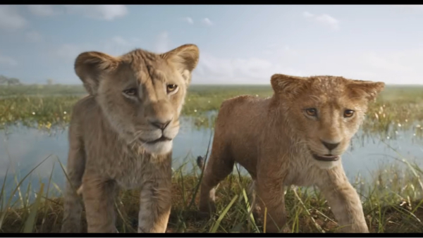 Mufasa The Lion King Trailer Mesmerising Moments Mufasa The Lion King Trailer Mesmerising Moments