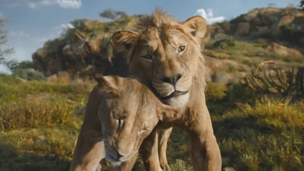 Mufasa The Lion King Coming Soon To Theatres Mufasa The Lion King Coming Soon To Theatres