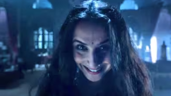 Bhool Bhulaiyaa 3 Box Office Collection Day 26 Early Updates