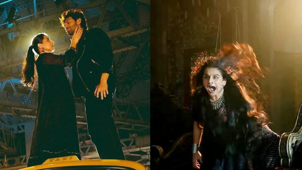 Bhool Bhulaiyaa 3 Box Office Collection Day 28 Early Updates