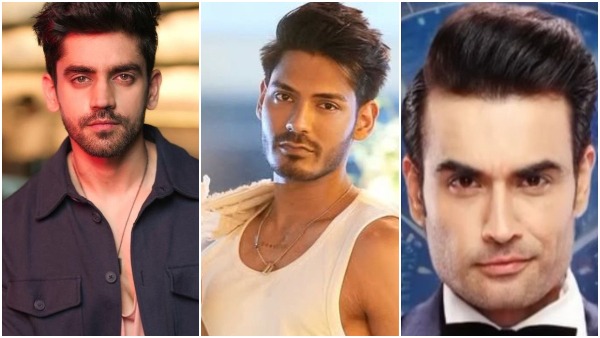 Bigg Boss 18 Vivian Dsena Avinash Mishra Bully Time God