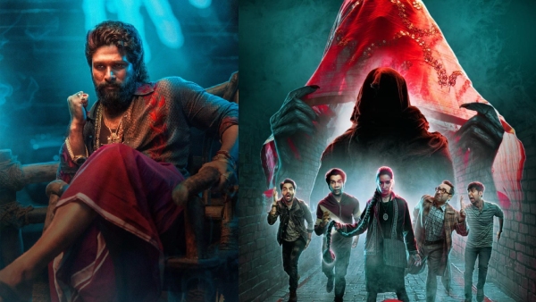 Pushpa 2 To Stree 2 Check Out Top Grossing Films Of 2024 Pushpa 2 To Stree 2 Check Out Top Grossing Films Of 2024