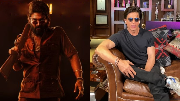 ENT LIVE Updates Pushpa 2 Crosses 725Cr