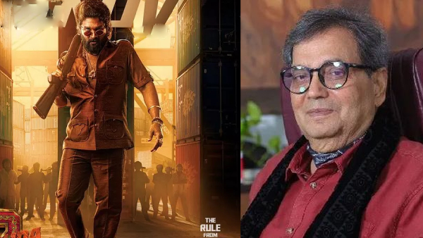 ENT LIVE Updates Pushpa 2 Crosses 380Cr