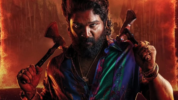 Pushpa 2 Hindi Second Weekend Box Office Collection Record