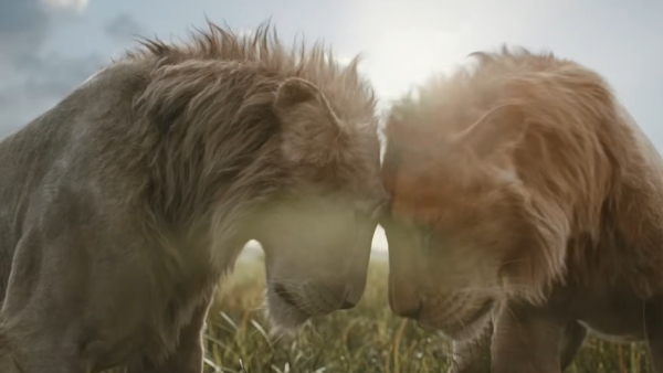 Mufasa The Lion King Rivals Teaser Revealed By Disney Mufasa The Lion King Rivals Teaser Revealed By Disney